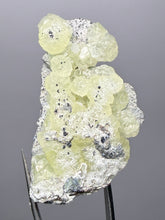 Load image into Gallery viewer, Vibrant Yellow Brucite Thumbnail Mineral Specimen | Collector Crystal from Killa Saifullah District in Balochistan Province, Pakistan
