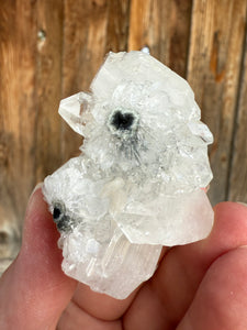 Clear Gem Apophyllite + Apophyllite Flower Stalactites • Maharashtra, India