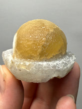 Load image into Gallery viewer, Rare Botryoidal Yellow Fluorite on Quartz Matrix  Collector Mineral Specimen – Maharashtra, India
