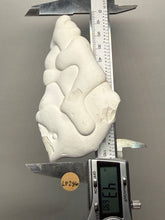 Load image into Gallery viewer, Chichaoua Menalite “Fairy Stone” Concretion | Natural Collector Display Specimen | Morocco
