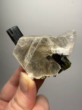 Load image into Gallery viewer, Blue Cap &amp; Green Cap Dark Green Stak Nala Tourmaline on Cleavelandite Matrix – Haramosh Mountains, Pakistan
