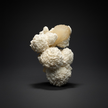 Load image into Gallery viewer, High-Grade Botryoidal Mordenite &amp; Peach Stilbite — Zeolite Mineral Specimen | Maharashtra, India
