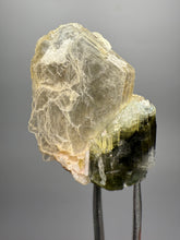 Load image into Gallery viewer, Dark Green Cap Stak Nala Tourmaline and Cleavelandite – Haramosh Mountains, Pakistan | Thumbnail Specimen

