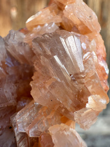 Orange Gem Heulandite • Maharashtra, India