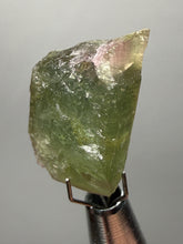 Load image into Gallery viewer, Raw Bi-Color Tourmaline Crystal Specimen | Ocean View Mine, Pala, California, USA
