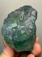 Load image into Gallery viewer, Blue Phantom Green Naturally Etched Fluorite | Mineral Collector Specimen — Fujian Province, China
