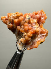 Load image into Gallery viewer, “Goblin Chalcedony” Pink &amp; Orange Druzy Botryoidal Stalactites— Tichka Massif, High Atlas, Morocco
