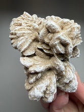 Load image into Gallery viewer, Desert Rose Selenite (Gypsum) — Mineral Display Specimen | Mexico
