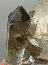 Load image into Gallery viewer, Smoky Quartz Crystal Specimen | Natural Collector Mineral – Brazil
