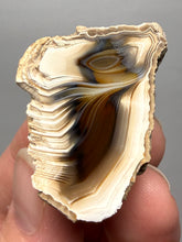 Load image into Gallery viewer, Premium Sumatra Agate (Banded Chalcedony) Display Specimen | Indonesia
