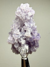 Load image into Gallery viewer, Indonesian Grape Agate (Botryoidal Purple Chalcedony) Display Specimen | Mamuju, West Sulawesi, Indonesia
