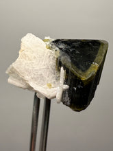 Load image into Gallery viewer, Green Cap Stak Nala Tourmaline with Cleavelandite – Haramosh Mountains, Pakistan | Thumbnail Specimen
