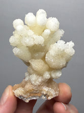Load image into Gallery viewer, 2.8” High-Grade Flower Calcite Specimen | Wenshan Mine, Yunnan, China | Collector Mineral Display
