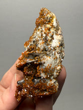 Load image into Gallery viewer, Natural Vanadinite on Matrix | Collector Mineral Specimen | Morocco
