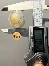 Load image into Gallery viewer, Rare Botryoidal Yellow Fluorite on Quartz Matrix  Collector Mineral Specimen – Maharashtra, India

