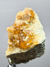 Load image into Gallery viewer, Hessonite Garnet Cluster on Matrix – Natural Collector Specimen from Pakistan | High-Grade Orange-Red Garnet Crystals
