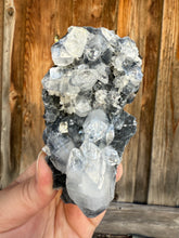 Load image into Gallery viewer, Clear Gem Apophyllite Cluster on black matrix • Maharashtra, India
