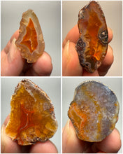Load image into Gallery viewer, Lot of 4 Small Malawi Agate Halves – Polished Rare Colorful Collector Specimens
