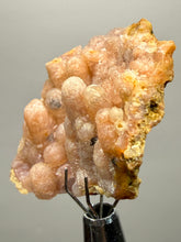 Load image into Gallery viewer, “Goblin Chalcedony” Pink &amp; Orange Druzy Botryoidal Stalactites— Tichka Massif, High Atlas, Morocco
