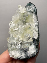 Load image into Gallery viewer, High-Grade Green Apophyllite on Black Chalcedony – Deccan Traps, Maharashtra, India (Collector Cabinet Specimen)
