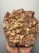 Load image into Gallery viewer, XLG Shiny Peach Stilbite and Mint Green Apophyllite on Druzy Red Heulandite – High-Grade Collector Mineral Specimen from India
