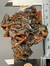 Load image into Gallery viewer, Natural Vanadinite on Matrix | Collector Mineral Specimen | Morocco
