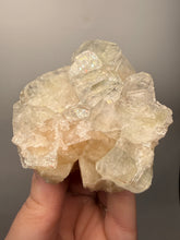 Load image into Gallery viewer, High-Grade Apophyllite on Pink Stilbite Zeolite | Indian Collector Mineral Specimen
