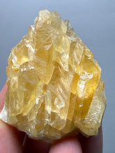 Load image into Gallery viewer, Golden Glow Calcite Cluster | Maharashtra, India
