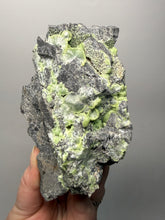 Load image into Gallery viewer, High-Grade Green Wavellite Collectors Specimen - Radiating Botryoidal Crystal Formation - Arkansas, USA
