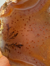 Load image into Gallery viewer, Polished Malawi Dendritic Agate Half – High-Grade African Banded Agate Display Specimen
