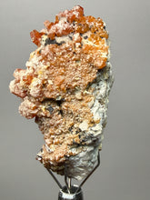 Load image into Gallery viewer, Natural Vanadinite on Matrix | Collector Mineral Specimen | Morocco
