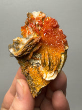 Load image into Gallery viewer, Natural Vanadinite on Matrix | Collector Mineral Specimen | Morocco

