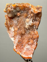 Load image into Gallery viewer, Sunset Goblin Chalcedony Botryoidal Stalactite | Sidi Rahal, Morocco (Western Sahara) Mineral Display Specimen
