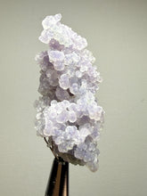 Load image into Gallery viewer, Indonesian Grape Agate (Botryoidal Purple Chalcedony) Display Specimen | Mamuju, West Sulawesi, Indonesia
