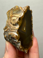 Load image into Gallery viewer, Premium Sumatra Agate (Banded Chalcedony) Display Specimen | Indonesia
