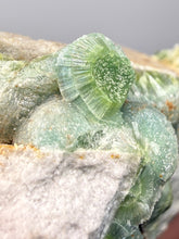 Load image into Gallery viewer, High-Grade Green Wavellite Collectors Specimen - Radiating Botryoidal Crystal Formation - Arkansas, USA
