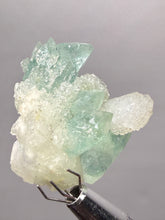 Load image into Gallery viewer, Luminous Mint Apophyllite with Glittering Druzy Sugar Quartz – India
