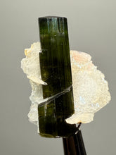Load image into Gallery viewer, Dark Green Cap Stak Nala Tourmaline with Cleavelandite Flower – Haramosh Mountains, Pakistan | Thumbnail Specimen
