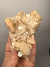 Load image into Gallery viewer, High-Grade Apophyllite on Pink Stilbite Zeolite | Indian Collector Mineral Specimen
