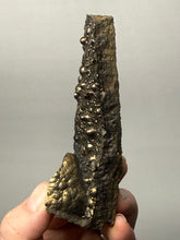 Load image into Gallery viewer, Botryoidal Stalactite Goethite (Iron Oxyhydroxide) Display Specimen | Turkey
