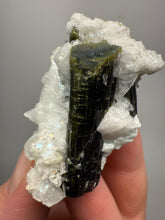 Load image into Gallery viewer, Blue Cap Dark Green Stak Nala Tourmaline on Cleavelandite Matrix – Haramosh Mountains, Pakistan
