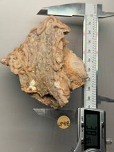 Load image into Gallery viewer, Chalcedony Quartz Rose Agate Collector Mineral Specimen – Morocco
