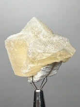 Load image into Gallery viewer, Rare Druzy Golden “Diamond” Calcite on Zeolite Matrix — Maharashtra, India | Collector Cabinet Specimen

