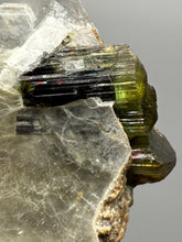 Load image into Gallery viewer, Blue Cap &amp; Green Cap Dark Green Stak Nala Tourmaline on Cleavelandite Matrix – Haramosh Mountains, Pakistan
