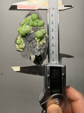 Load image into Gallery viewer, High-Grade Green Wavellite Collectors Specimen - Radiating Botryoidal Crystal Formation - Arkansas, USA

