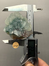 Load image into Gallery viewer, Druzy Green Apophyllite on Red &amp; Green Heulandite – Deccan Traps, Maharashtra, India
