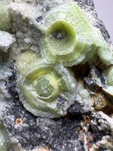 Load image into Gallery viewer, High-Grade Green Wavellite Collectors Specimen - Radiating Botryoidal Crystal Formation - Arkansas, USA

