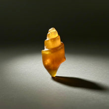 Load image into Gallery viewer, Agatized Gastropod Fossil Specimen | Morocco
