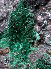 Load image into Gallery viewer, Brochantite Collector Mineral Specimen – Vivid Green Copper Crystals from Morocco
