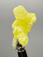 Load image into Gallery viewer, Vibrant Yellow Brucite Thumbnail Mineral Specimen | Collector Crystal from Killa Saifullah District in Balochistan Province, Pakistan
